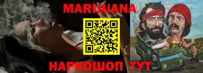 молекула духа Партизанск