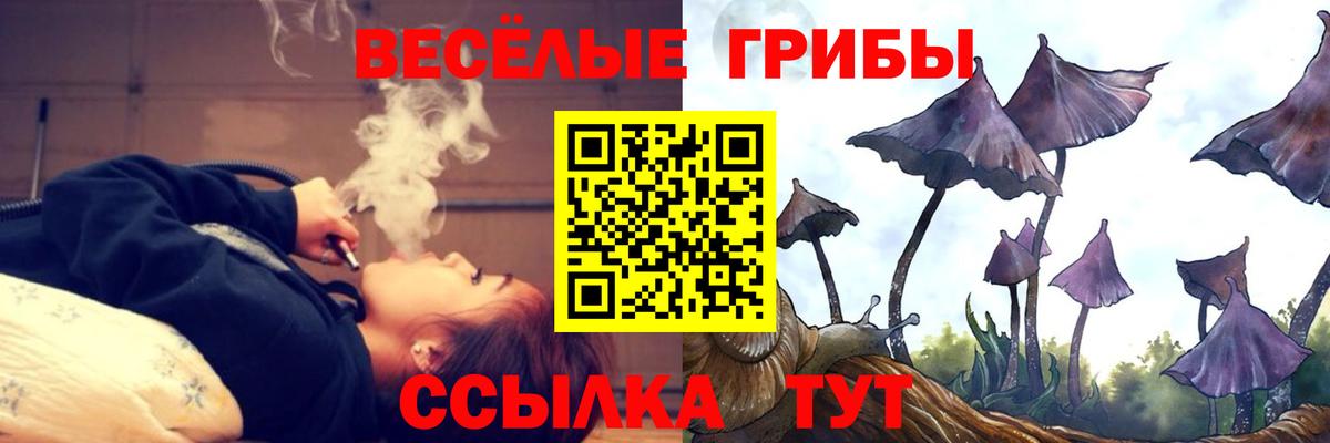 Псилоцибиновые грибы Psilocybe Советск